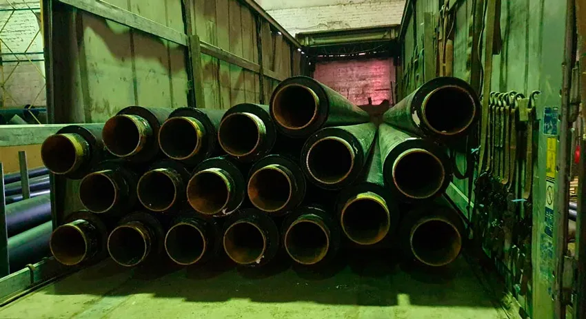 pushkin-ppu2.jpg pushkin-ppu2.jpg