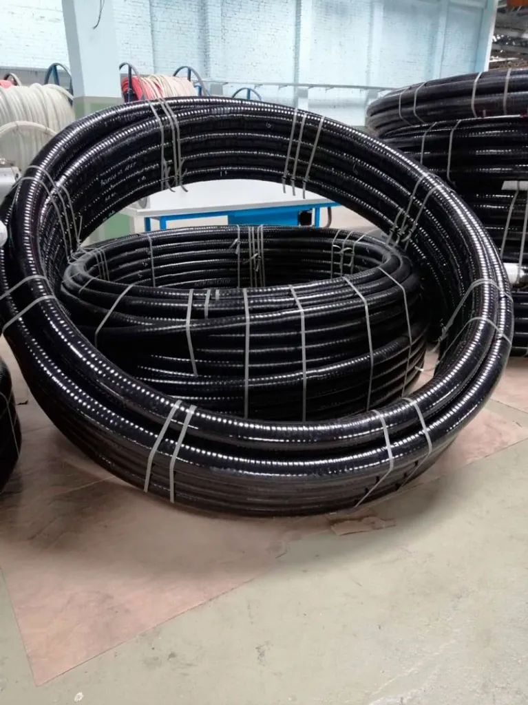 giz-vaselkovo.jpg giz-vaselkovo.jpg